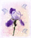 iris flower Royalty Free Stock Photo