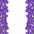 Iris Flower Border on White Background. Vector Illustration Royalty Free Stock Photo
