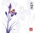 Iris flower hand drawn with ink. Traditional oriental ink painting sumi-e, u-sin, go-hua. Contains hieroglyphs -