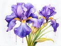 Iris is the flower of news. which is a symbol of friendship, pure love and filial piety. Generative AI