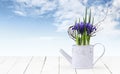 Iris flower plant in watering can isolated on wooden white table and sky background, web banner florist shop or gift card present