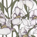 Iris flower seamless pattern. Floral seamless background. Generative AI Royalty Free Stock Photo