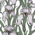 Iris flower seamless pattern. Floral seamless background. Generative AI Royalty Free Stock Photo