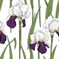 Iris flower seamless pattern. Floral seamless background. Generative AI Royalty Free Stock Photo