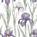 Iris flower seamless pattern. Floral seamless background. Generative AI Royalty Free Stock Photo