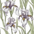 Iris flower seamless pattern. Floral seamless background. Generative AI Royalty Free Stock Photo