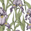 Iris flower seamless pattern. Floral seamless background. Generative AI Royalty Free Stock Photo