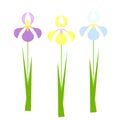 Iris flower set. Yellow, blue, violet spring flowers, green leaves on white background.