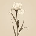 Monotone Iris Flower On Beige Background: Realistic Dansaekhwa Art