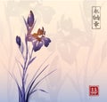 Iris flower and sunrise. Traditional oriental ink painting sumi-e, u-sin, go-hua. Contains hieroglyphs - eternity