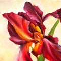 Iris flower is written in oil on canvas Royalty Free Stock Photo