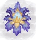 Iris flowers digital watercolor illustration. Manual composition