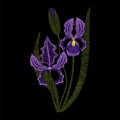 Iris flowers embroidery, vector fashion illustration