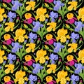 Iris flowers seamless pattern with leaves on black background. Summer vector bright floral botanical illustration for branding, Royalty Free Stock Photo