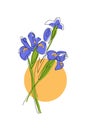Iris flowers vector color illustration. One continuous line art drawing of iris flowers Royalty Free Stock Photo
