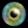 Iris of the human. The iris of the eye. Eye illustration. Creative graphic design Royalty Free Stock Photo