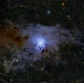 The Iris Nebula Royalty Free Stock Photo