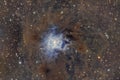 Iris Nebula NGC7023 Royalty Free Stock Photo