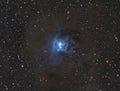 The Iris Nebula Royalty Free Stock Photo