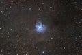 Iris nebulae, NGC 6930, nebula, Royalty Free Stock Photo
