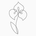 Iris one line drawing. Continuous line flower. Hand-drawn print for logo, emblem and design card, poster. Vector. Royalty Free Stock Photo