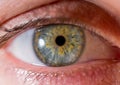 close up eye. close up Iris. very Close macro shot of an eyeball. green and yellow