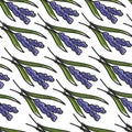 Iris plant Croatia symbol seamless pattern blue flower