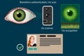 Iris scan - biometric authentication method diagram, vector infographics