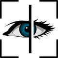 Iris scanner. Human eye with bio metric identification machine. Identity confirmation. Realistic vector. Royalty Free Stock Photo