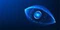 Iris scanning technology with iris elements uses a person\'s biometric identity to verify identity,
