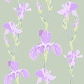 Iris seamless background