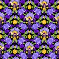 Iris seamless pattern on black background. Summer vector floral print, fresh botanical background with purple flowers, leaves on Royalty Free Stock Photo