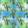 Iris. Seamless pattern. Decorative composition - flowers and buds of irises on the background of watercolor. Use printed materials Royalty Free Stock Photo