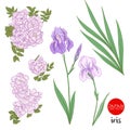 Iris and wild rose flowers. Stock line vector illustration botan