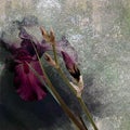 Irises bouquet stylized design on dark background