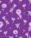 Irises and chrysanthemums on a violet background. Royalty Free Stock Photo
