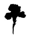 Irises flowers black silhouette-stock illustration. Iris flower-black silhouette for logo or pictogram