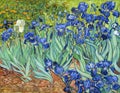 Irises by Vincent van Gogh, 1889 Royalty Free Stock Photo