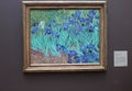 Irises by Vincent van Gogh in Getty Center, Los Angeles Royalty Free Stock Photo