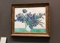 Irises by Vincent van Gogh in Metropolitan Museum of Art, New York