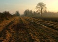 Irish Autumn Evening