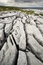 The Irish Burren Royalty Free Stock Photo