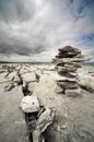 The Irish Burren