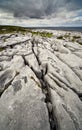 The Irish Burren