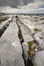 The Irish Burren Royalty Free Stock Photo