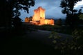 Irish castle view Royalty Free Stock Photo