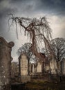 Irish Celtic Cemetery, Mount Jerome. Dublin, Ireland - 28 Dec 2023