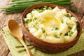 Irish Champ is a simple food made of potatoes, milk, green onions, butter close up in the bowl. Horizontal