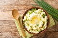 Irish Champ is a simple food made of potatoes, milk, green onions, butter close up in the bowl. Horizontal top view