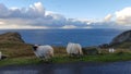 Irish coast